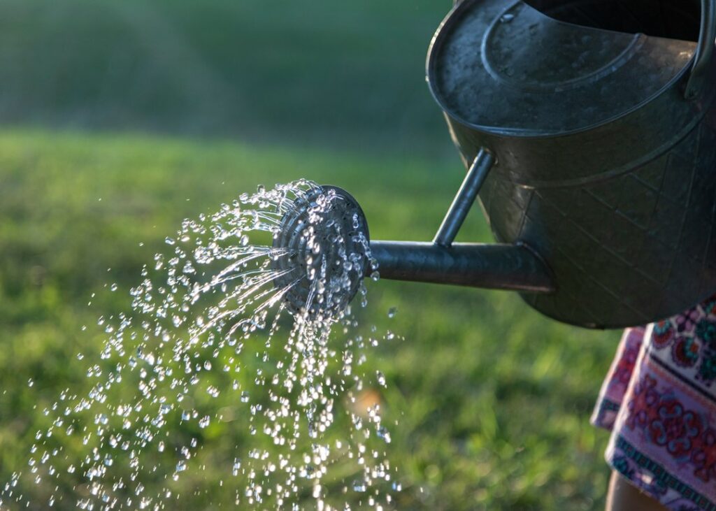 Arrosoir en métal versant de l’eau dans un jardin ensoleillé