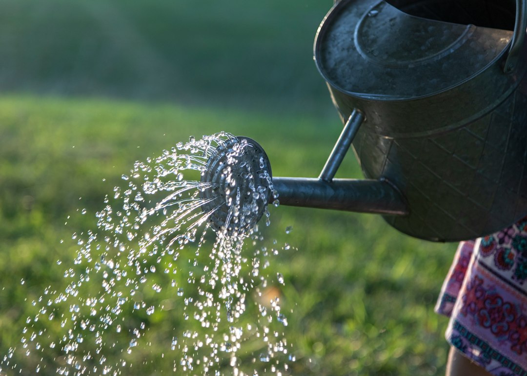 Arrosoir en métal versant de l’eau dans un jardin ensoleillé