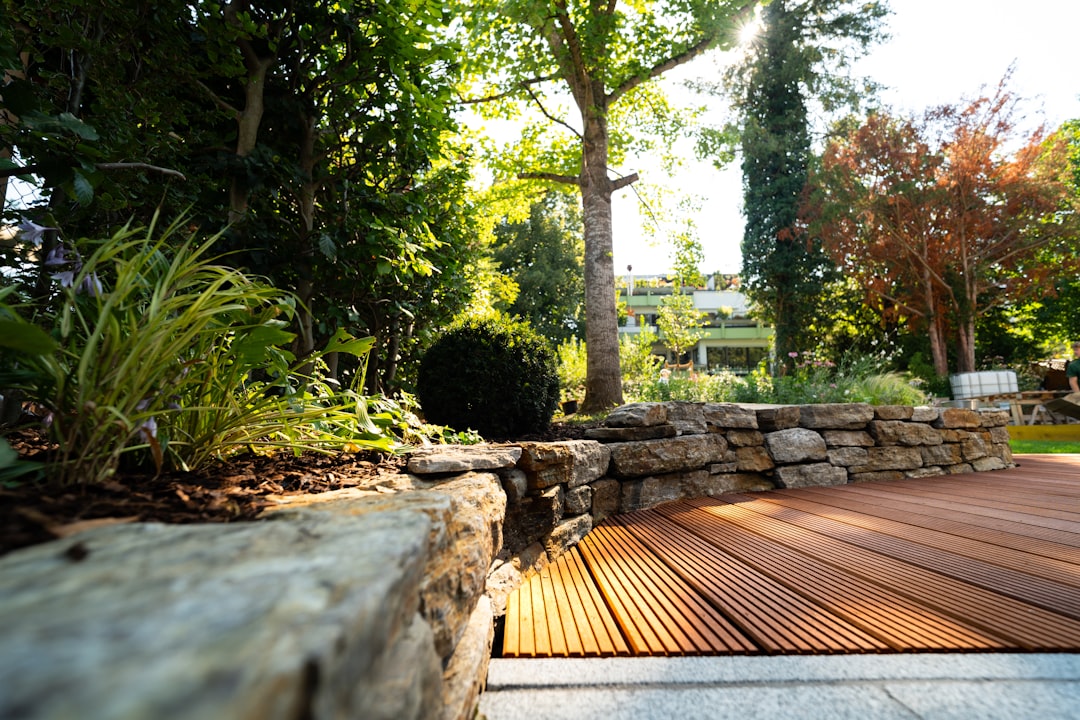 Terrasse à lames rainurées bordée d’un muret en pierre et de végétation dans un jardin.